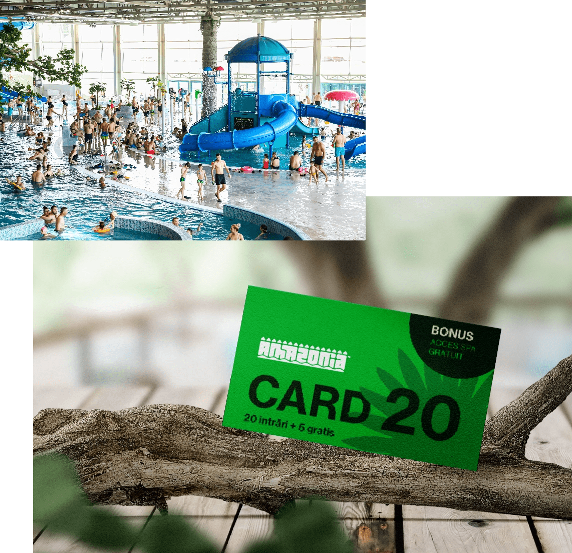 Group 57521@2x min - Amazonia Aquapark