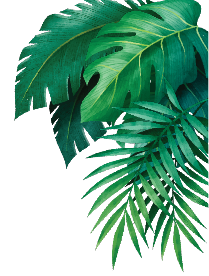 Mask Group 4825 - Amazonia Aquapark