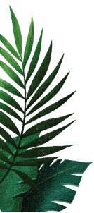 Mask Group 4941 min - Amazonia Aquapark