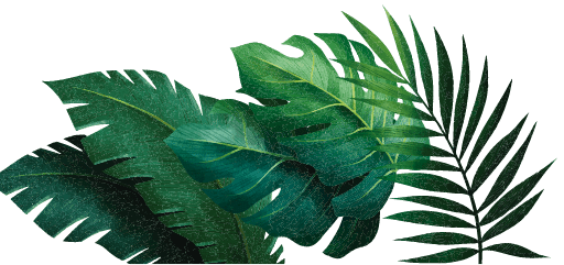 Mask Group 4963 min 1 min - Amazonia Aquapark