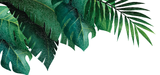 Mask Group 4965 - Amazonia Aquapark